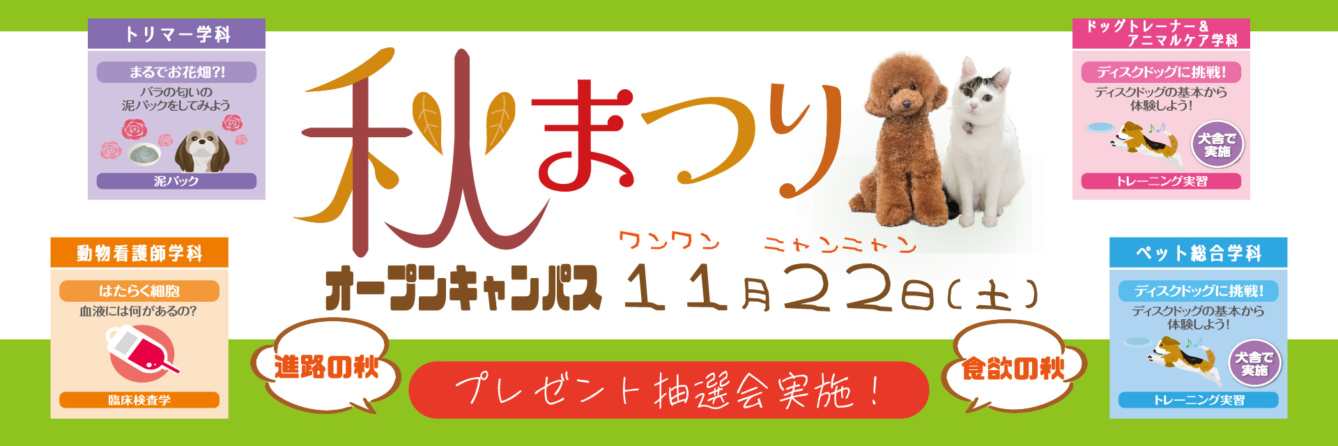 秋まつり