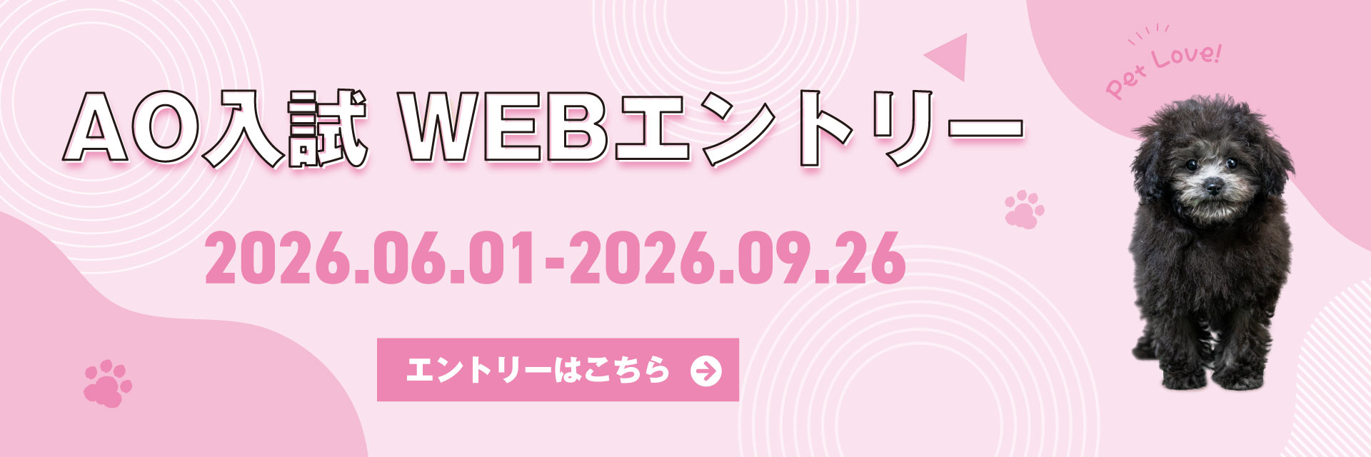 AO入学エントリー受付中