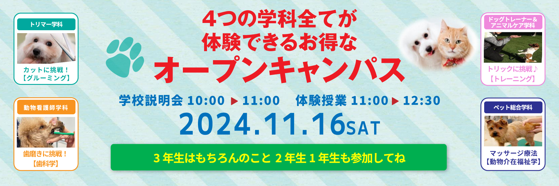 スペシャルオープンキャンパス