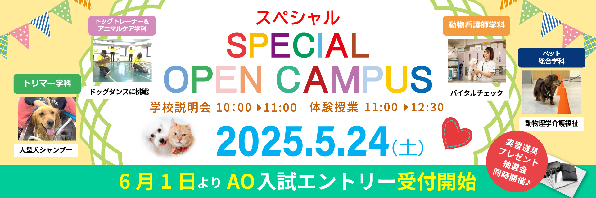 スペシャルオープンキャンパス